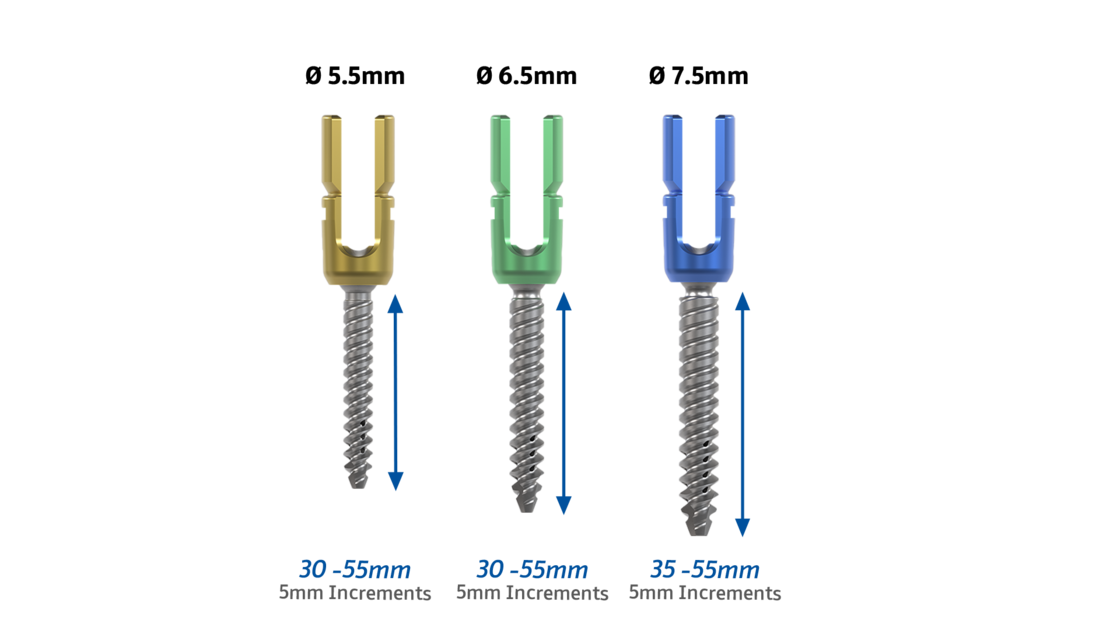 © ulrich medical. All rights reserved. Use, reproduction or transfer without express authorization is not permitted.