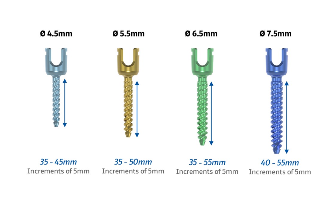 © ulrich medical. All rights reserved. Use, reproduction or transfer without express authorization is not permitted.