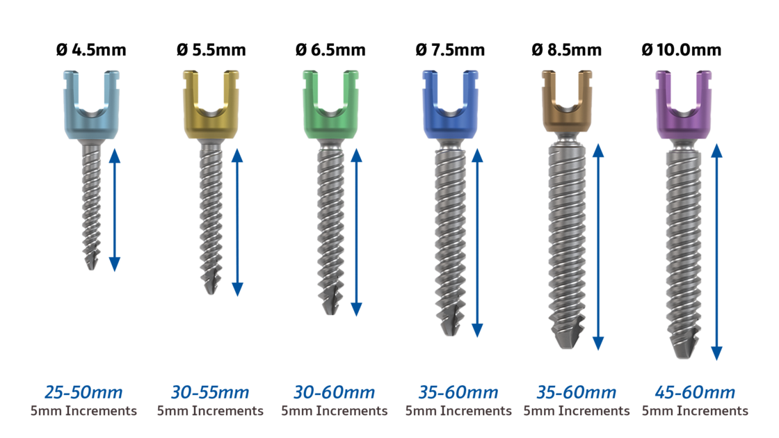 © ulrich medical. All rights reserved. Use, reproduction or transfer without express authorization is not permitted.